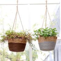 Cesta que teje de la cuerda de cáñamo de la maceta del balcón de la carne del jardín interior - details 8