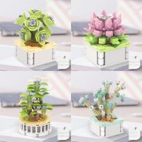 Construcción de suculentas para niños, decoración de escritorio, ramo eterno, flor de bloque, juguete educativo, modelo de plantas en maceta - details 3