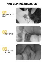 Cortaúñas profesional para mascotas, tijeras de aseo para perros pequeños y gatos, accesorios - details 1