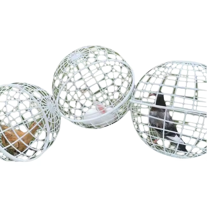 Jaula Para Pollos Caminantes 3pcs 20cm Jaula De Rodillo Para Peces Huevos Y Aves Domésticas Alimentación Libre Almohadilla De Juguete Para Hamsters - 1