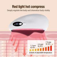 Masajeador eléctrico Gua Sha para el cuidado de la piel, herramienta de masaje de acupuntura Guasha, dispositivo de salud - details 3