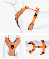 Truelove-arnés reflectante sin tirones para perro, chaleco pequeño, mediano y grande, correa a juego de ajuste rápido, Collar de entrenamiento para correr, TLH6071 - details 9