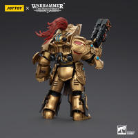JOYTOY 1/18 figura de acción The Horus Heresy Legio Custodes Aquilon Terminator Squad (3 unids/set) - details 6