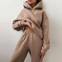 Suéter grueso de manga larga para mujer, moda casual de dos piezas, otoño e invierno - details 1