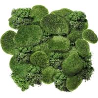 Mini colchón de musgo artificial, roca, vida eterna, plantas verdes, pastizales, decoración de jardín, artesanías PA, hoteles y hogares - details 3