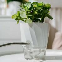 Cuerda de algodón de plástico de doble capa autopulverizante, ETA inerte autoabsorbente, decoración del hogar y la oficina - details 5