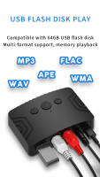 VAORLO-receptor de Audio con Bluetooth 5,3, adaptador inalámbrico de música estéreo HIFI, compatible con u-disk Play, 3,5mm, AUX, RCA, USB, Kit de altavoz para coche - details 6