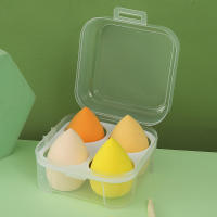 Huevos de Belleza Aerosol en Polvo Paquete de 4 Recaudos con Caja de Almacenamiento Seco y Húmedo - details 3