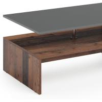 Mesa de sofá, mesa de centro, mesa central, diseño moderno, estilo artístico, medidas: 90 x 60 cm - details 30