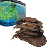 Hojas de olivo naturales de 50 piezas, mejora la calidad del agua y la estabilización, adecuadas para decoraciones de acuario - details 5