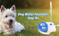 Outdoor Dog Water Fountain Step On