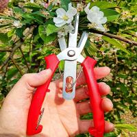 Tijeras de Podar Jardín Tijeras Compactas para Podar Ramas, Recortar Frutas y Flores - details 7