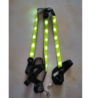 Brilla en la Oscuridad Vestidor de Seguridad para Caballos Telérico Recargable Luz para Paseos Nocturnos Correas Ajustables Material de Poliéster - details 5