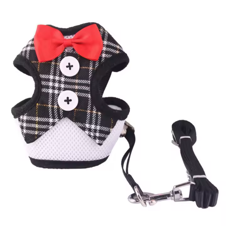Elegante Correa para Perros, Correa de Tirones para Mascotas Pequeñas y Medianas - 1