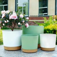 ETA interior circular grande de plástico para plantas jugosas, bonsái eterno con bandeja de drenaje, decoración del hogar y jardín - details 10