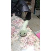 2025 Año Chino de la Serpiente Juguetes de Peluche Creativos Muñeco del Zodíaco Lindos Adornos de Muñeca Pulsera de Mascota Regalo del Festival de Primavera - details 8