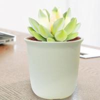 Maceta de plástico de 5 uds., maceta de resina gruesa para plantas, maceta suculenta para interiores y exteriores, maceta redonda anticerámica creativa para flores - details 7
