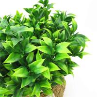 Ramas de Planta Artificial Verde 7 Branches para Jardín, Césped Falsa, Eucaliptus, Hojas de Naranja, Decoración del Hogar - details 3