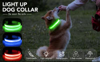Correa LED de nailon para perro, Collar fluorescente luminoso de seguridad nocturna que brilla en la oscuridad - details 0