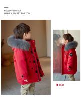 Chaqueta de Plumífero de Pato Blanco para Invierno 2025 Abrigo Exterior Cálido para Niños y Niñas - details 20