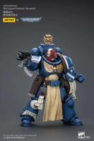 JOYTOY 40k 1/18 figuras de acción Anime 12,1 cm Ultramarines Sternguard veterano juguetes de modelos de colección - details 3