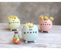 ETA i ued para un agujero de planta jugoso, macizo de flores con un hermoso animal, lindo gato, decoración de jardín, bonai ETA, cumpleaños - details 0