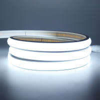 Cinta LED de Alta Densidad Impermeable para Exteriores GAHADA 12V 24V 320LEDs/m - details 8