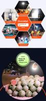Linterna luz solar Portátil jardin exterior multifunción camping carpa regalo Luz de emergencia led - details 2