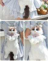 Mochila de gato Muppet simulación mochila bolsa muñeca juguete de peluche regalo de cumpleaños gato de tres flores - details 10