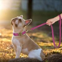 correa ustables cuero PU perro, Collar duradero cuerda de plomo mascotas, suave para perros pequeños, medianos y randes, - details 24