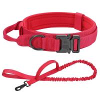 Perro táctico militar duradero, conjunto correa elástica, Collar entrenamiento caminar de nailon para mascotas, Perros medianos - details 7