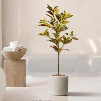 Árbol de higos falsos grandes, plantas tropicales de caucho artificiales, hojas de otoño, decoración de jardín para el hogar - details 4