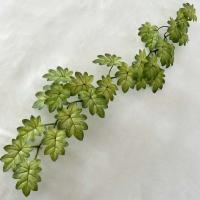 Boda falsa glicina plantas simuladas impresas en 3D, espalda de tortuga de plástico, hojas de manzana verde de bambú, decoración del hogar - details 38