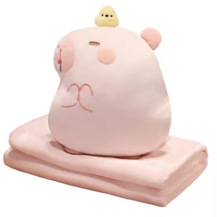 Edredón de almohada de doble uso para niñas, cojín de coche para dormir, manta de oficina dos en uno, cojín de siesta uno en uno - 1