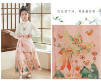 Falda con cara de caballo para niña, conjunto modificado Hanfu, disfraz antiguo Ming Tang de estilo chino para niña, verano para niños - details 13