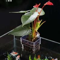 Copa de Hierba Acuaria Cesta de Plantas Hidroponicas Multiple para Tanque de Peces - details 3