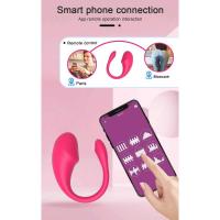 Empaque privado SEX Vibrador Bluetooth inalámbrico con control remoto por aplicación, huevo vibrador para mujeres - details 9