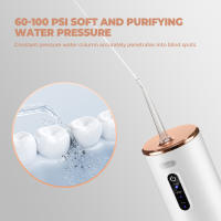 Irrigador Bucal Eléctrico Limpiador Dental de Agua con Estomada Giratoria 360 - details 20