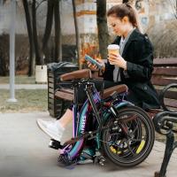 FAFREES F20 Pro+ Bicicleta Eléctrica Plegable, Freno de Doble Disco+SHIMANO de 7 Velocidades, Neumáticos de 20*3,0 Pulgadas, Velocidad Máxima de 25km/h, Batería de 36V 22.5Ah, Pantalla LCD, Alcance de 85-100km, Púrpura - details 0