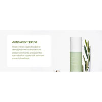 Antioxidant blend