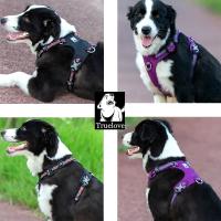 Truelove Uitra-arnés ligero de seguridad para mascotas, producto impermeable a prueba de explosiones para perros pequeños, medianos y grandes, TLH6282 - details 16