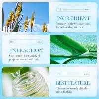 Mascarilla Facial de Arcilla Aloe Vera 100g Control de Acné Mejora del Tono de Piel Grueso - details 5