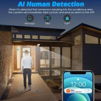 Cámara de Seguridad Inteligente para el Hogar TUYA 6MP POE IP Audio Bidireccional Visión Nocturna - details 2