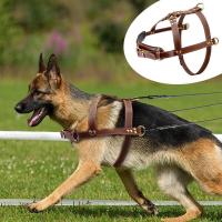 Arnés cuero suave perro, accesorio ustable para entrenamiento de caminar, Pitbull, Alaskan, mediano y grande, color marrón - details 0
