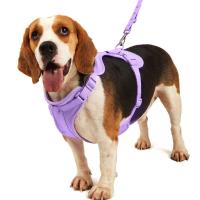Arnés tipo chaleco para perro de Color caramelo, arnés reflectante transpirable para Chihuahua, correa de pecho para perro antirotura de PVC, para caminar al aire libre - details 0