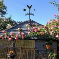 Silueta de veleta de gallo, indicador de paletas de viento, decoraciones para exteriores, jardín para construcción de patio de techo - details 4