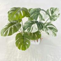 Boda falsa glicina plantas simuladas impresas en 3D, espalda de tortuga de plástico, hojas de manzana verde de bambú, decoración del hogar - details 2