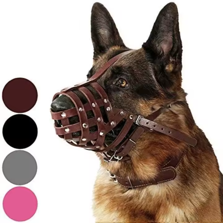 CollarDirect Bozal para Pastor Alemán Dálmata Doberman Setter Cesta de Cuero Razas Medianas Grandes Negro Marrón (M, Castaño - 1