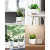 5 paquetes de maceta de plástico