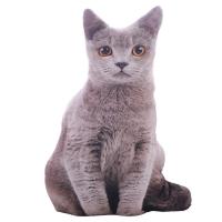 Juguetes de peluche de gato 3D realista, muñeco de Animal suave, almohada de simulación para dormir, cojín de sofá de gato 3D, muñeca de dibujos animados, regalo de decoración del hogar - details 0